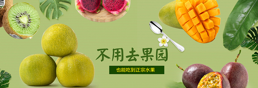 关于九游娱乐(图1)